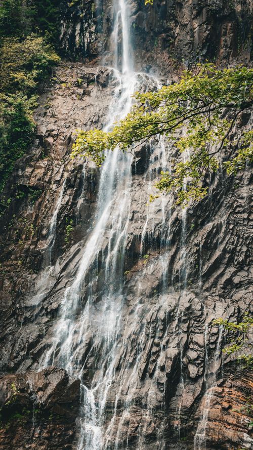 Free Majestic waterfall cascading down rocky cliffs surrounded by lush greenery in Artvin, Türkiye. Stock Photo