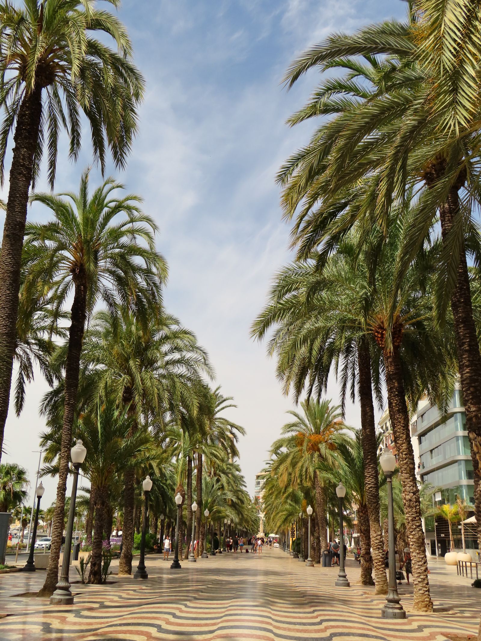 Cazare în Alicante: Explanada de España, cu palmieri și mozaicul în valuri