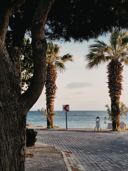 Free Tranquil coastal scene with palm trees lining a road towards the sea during sunset. Stock Photo