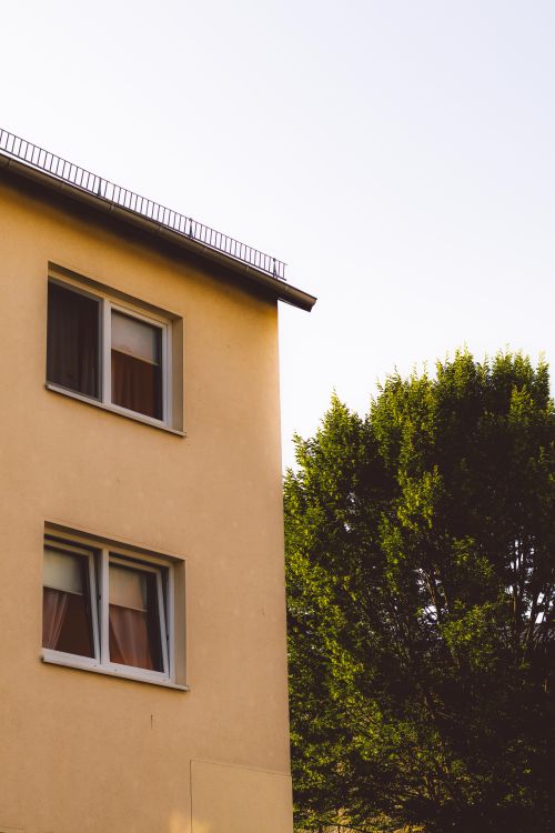 Free A serene urban scene in Kassel, showcasing a building facade with warm summer light and a lush tree. Stock Photo
