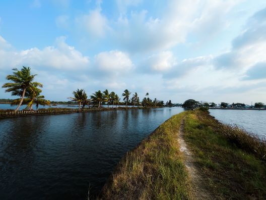 Punnamada Lake Track