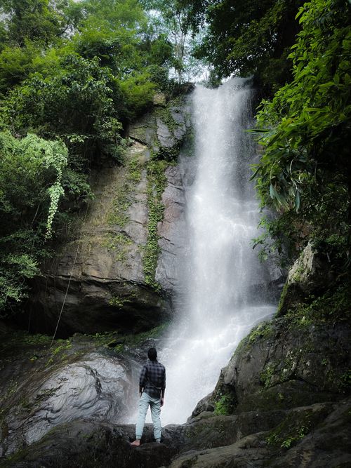 Free A man stands in awe before a cascading waterfall surrounded by lush greenery. Stock Photo
