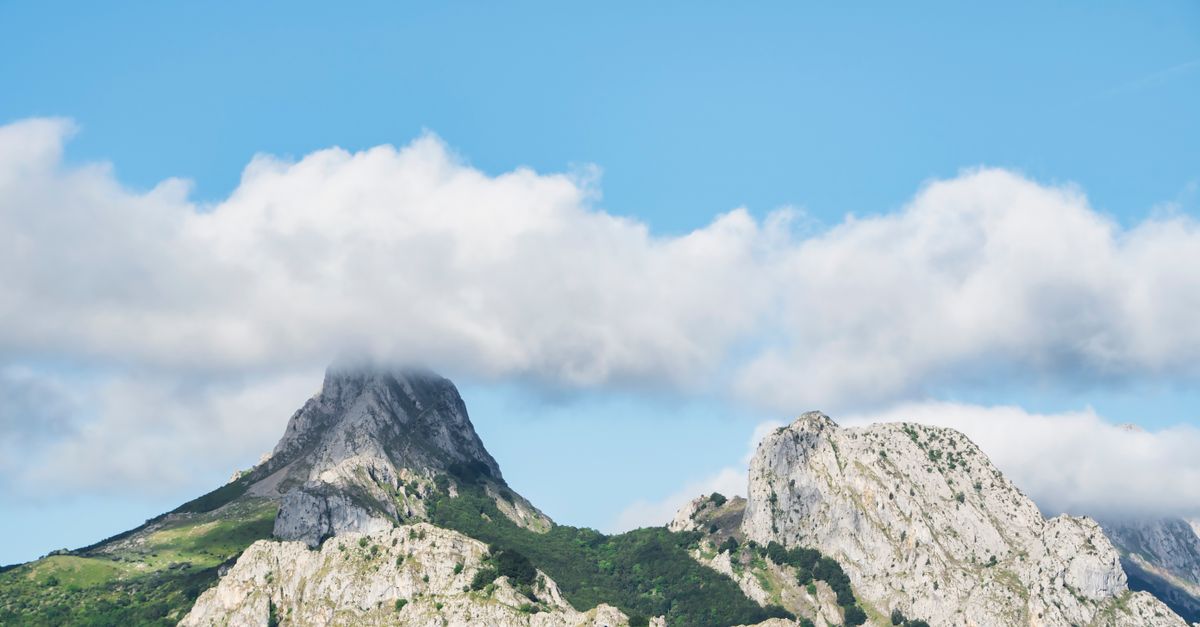 What's My Elevation?