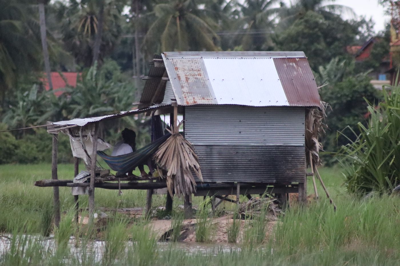 A wooden stilt hut with a hammock in the Cambodian countryside