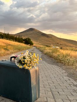 A vintage suitcase with daisies on a cobblestone path, scenic countryside at sunset.
