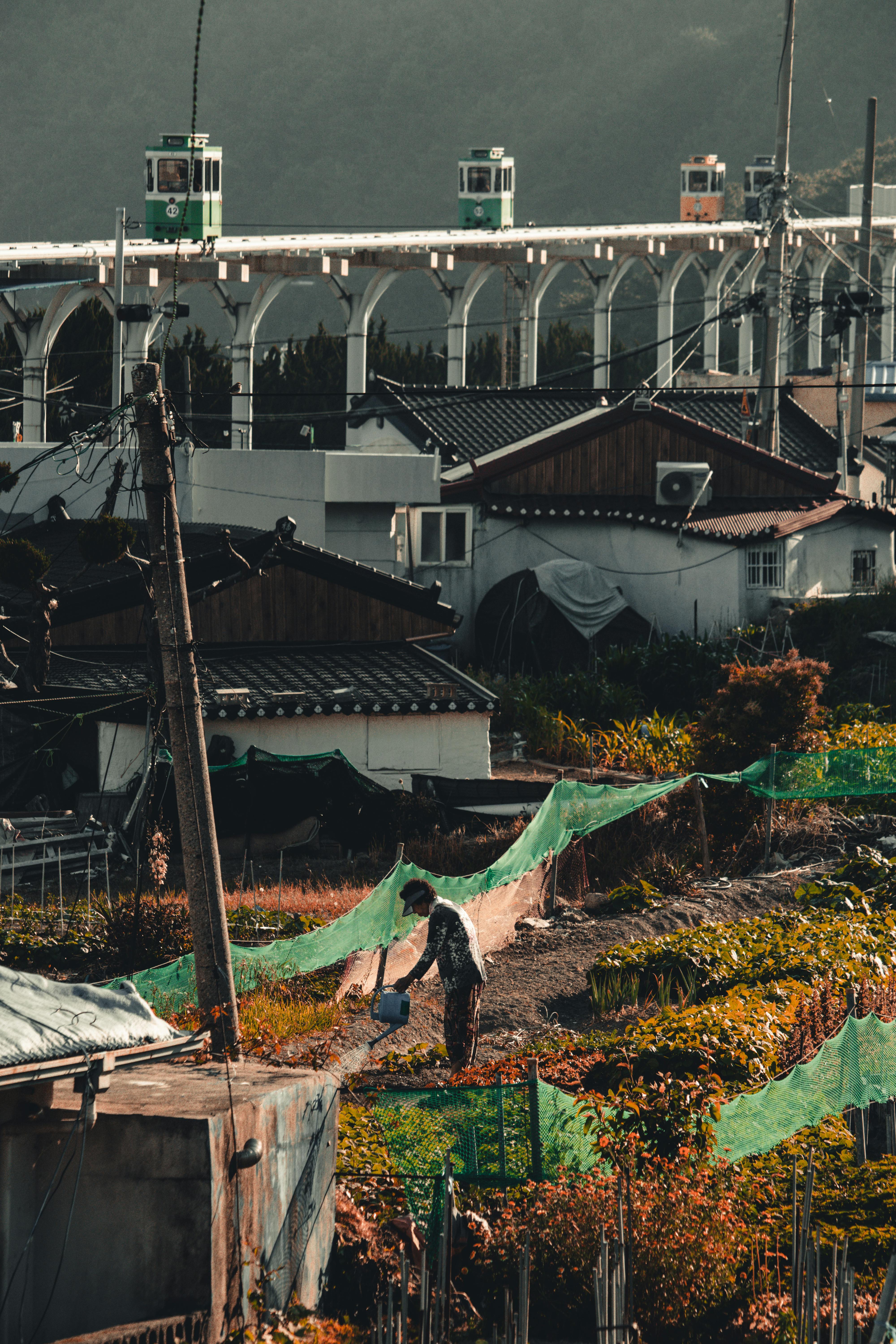 Urban Farming Scene in Busan, South Korea