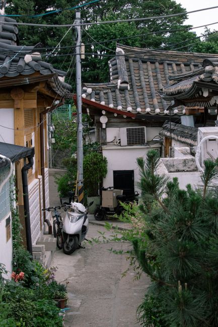 연차 수가 예상과 다른 진짜 이유