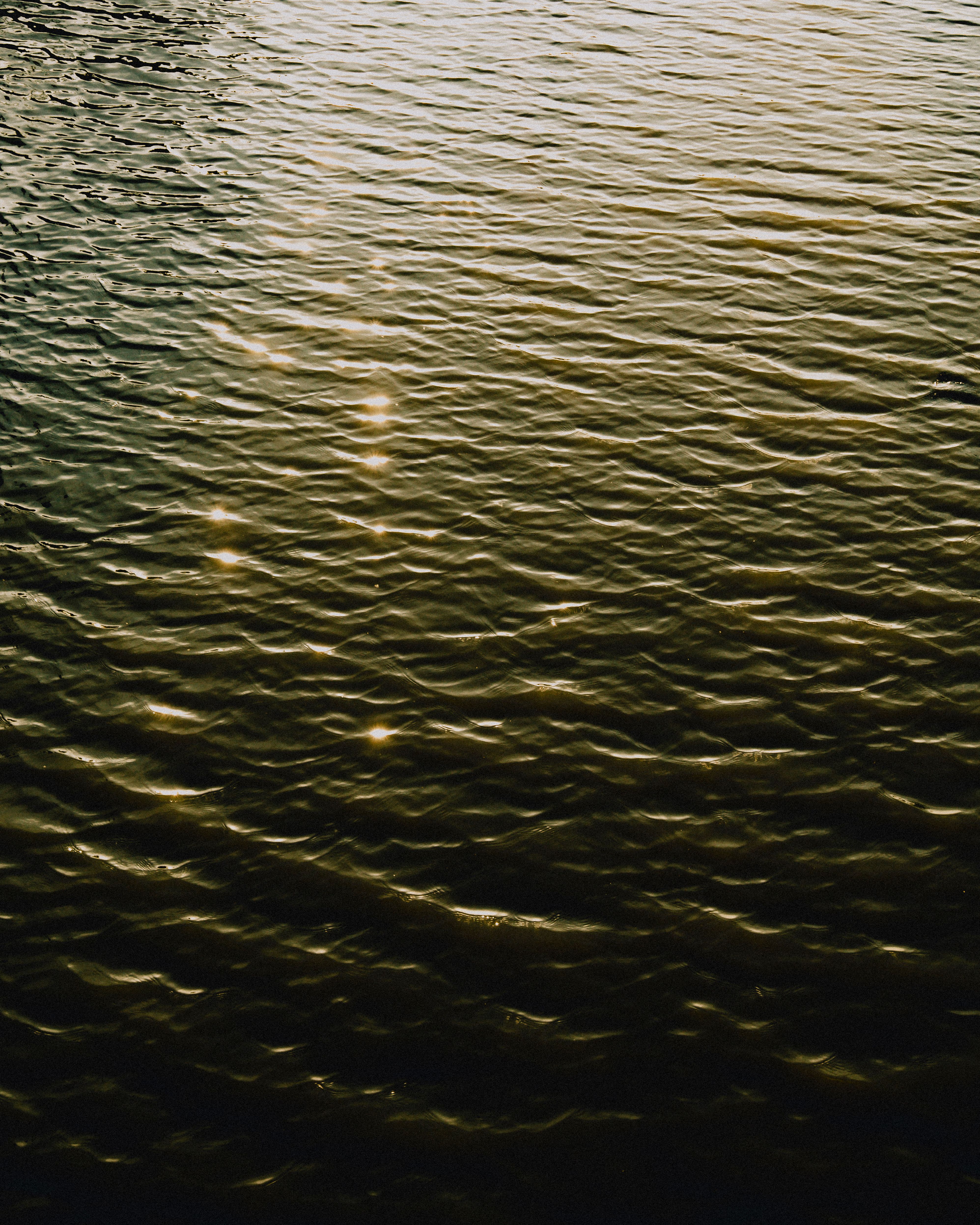 Golden Sunlight Reflecting on Rippling Water · Free Stock Photo