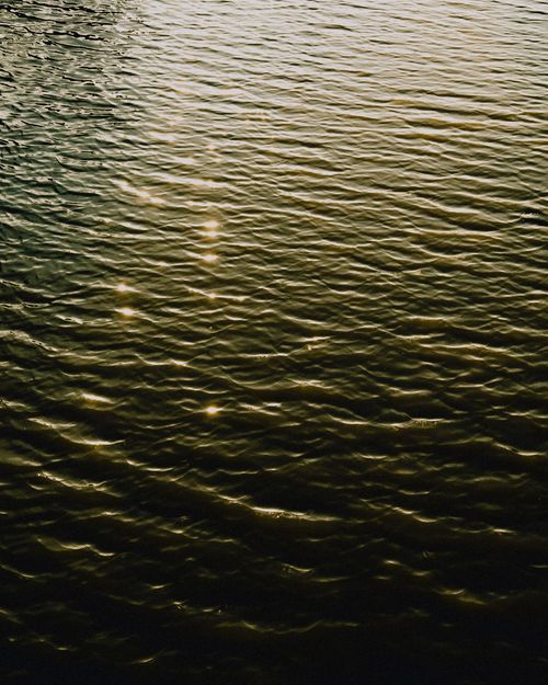Free Golden sunlight dancing on rippling water creating a serene and tranquil scene. Stock Photo