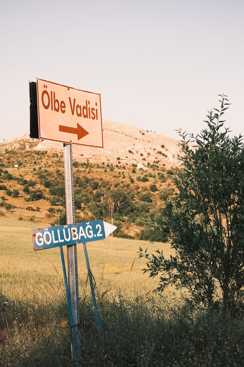Directional Signs in Scenic Turkish Landscape · Free Stock Photo