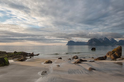 Photo by stein egil liland