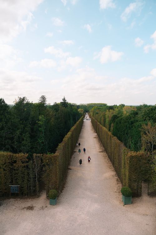 Free Aerial view of the grand pathways and lush greenery in the Versailles Gardens, France. Stock Photo