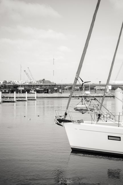 51. Auckland The City of Sails and Urban Adventures 51. Auckland The City of Sails and Urban Adventures