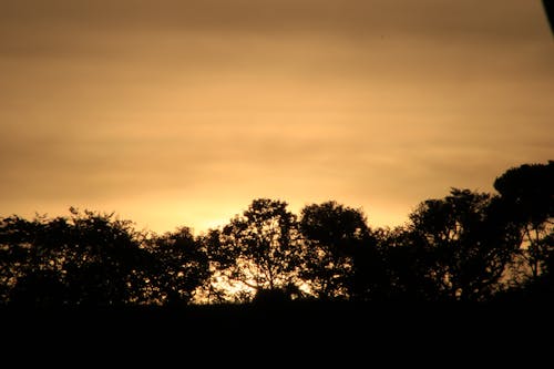 Gratis arkivbilde med solnedgang