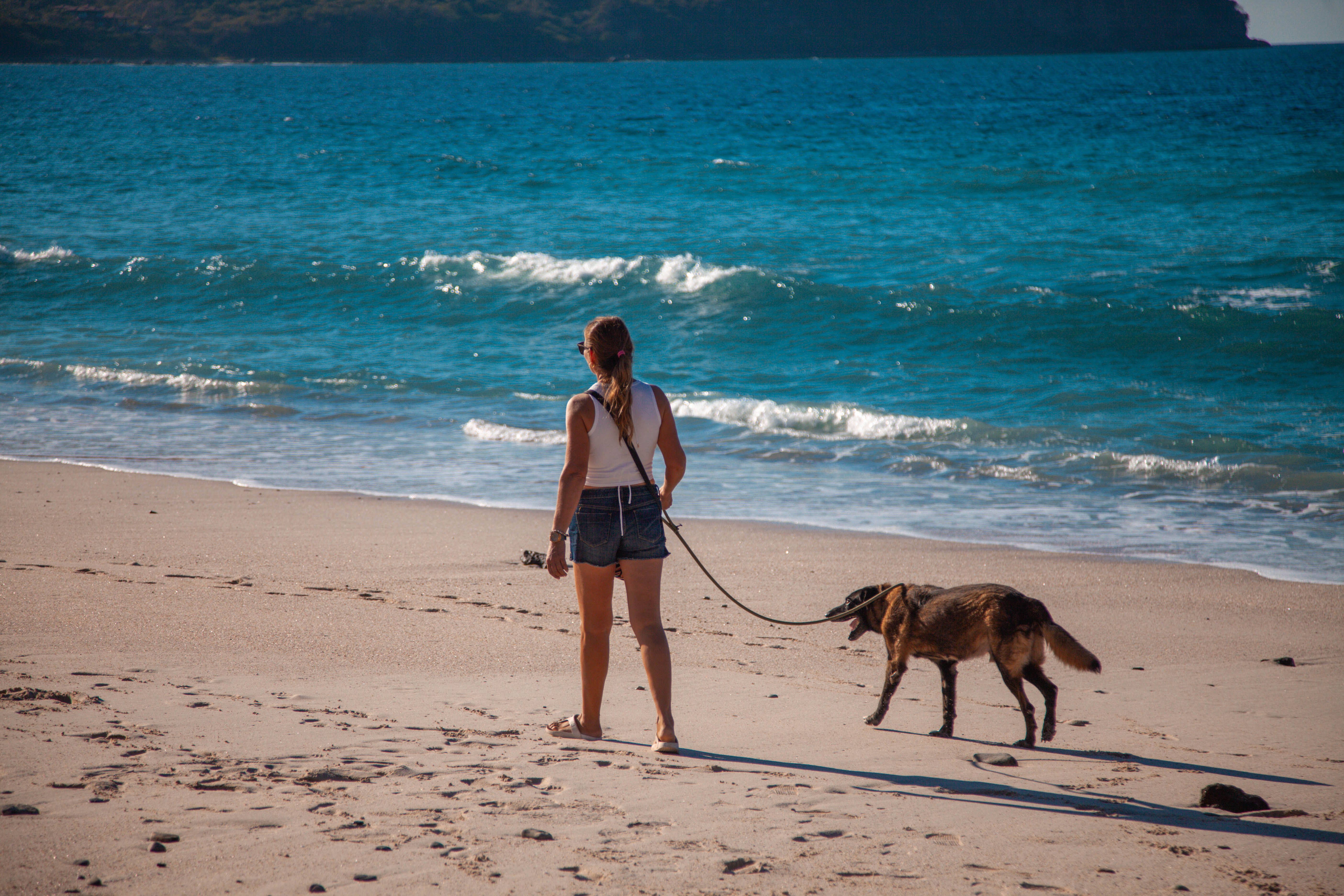Pet Travel to Puerto Escondido: Airlines, Beaches & Vet Clinics
