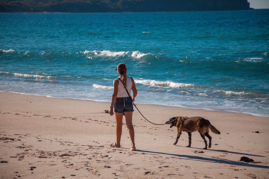 Pet Travel to Puerto Escondido: Airlines, Beaches & Vet Clinics