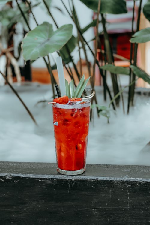 Free Vibrant red cocktail with ice and fruits in a glass surrounded by lush greenery. Stock Photo