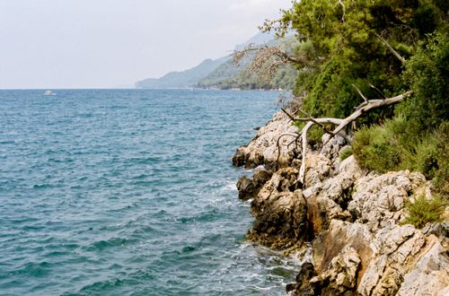 Free Dramatic coastal landscape featuring rocky shoreline, turquoise sea, and lush pine trees under a clear sky. Stock Photo