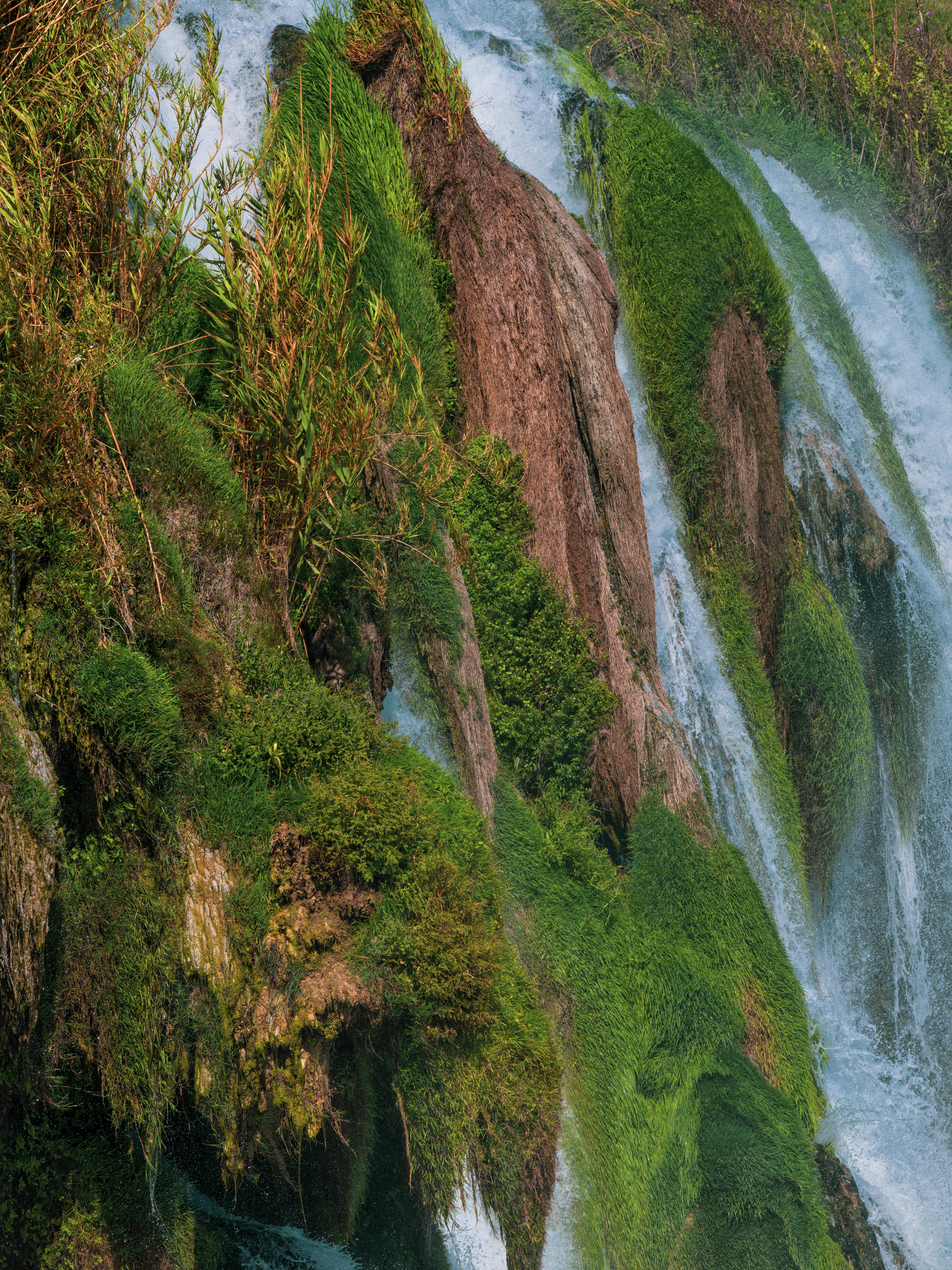 Kesegaran Air Terjun di Tengah Hutan Blitar