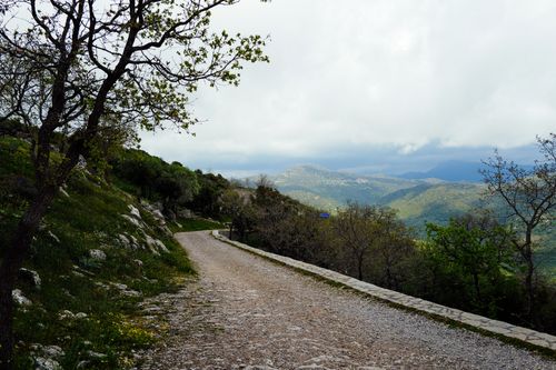 Free A tranquil mountain trail surrounded by trees, offering a scenic view of nature's beauty. Stock Photo