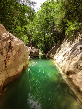 Serene forest creek flowing between rugged rock formations, reflecting lush greenery.
