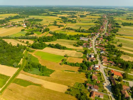 Aerial view showcasing Velika Trnovitica's sprawling fields and quaint village life on a sunny day.