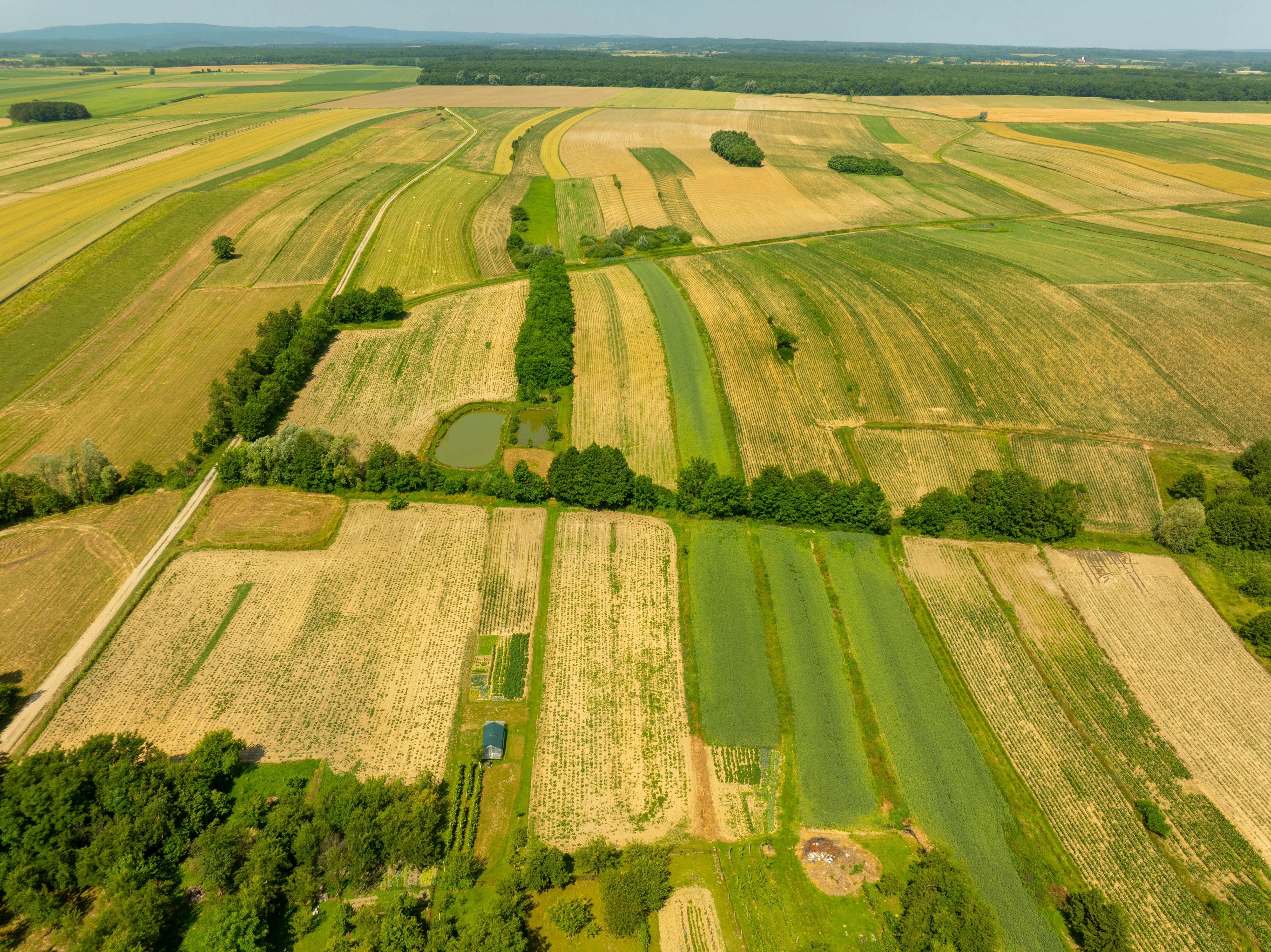 Drone flying over a scenic landscape