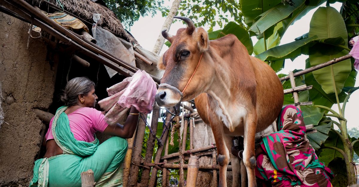Milk Prices Up ₹9/Litre: How Much More You'll Pay?