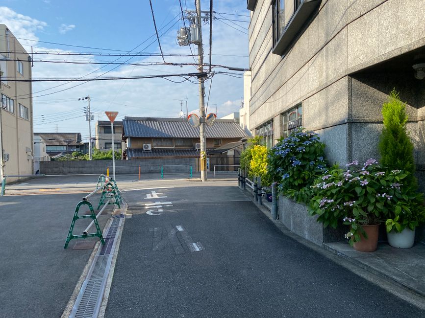 Japan Rainy Season (Tsuyu) 2026: Why It's Secretly Amazing