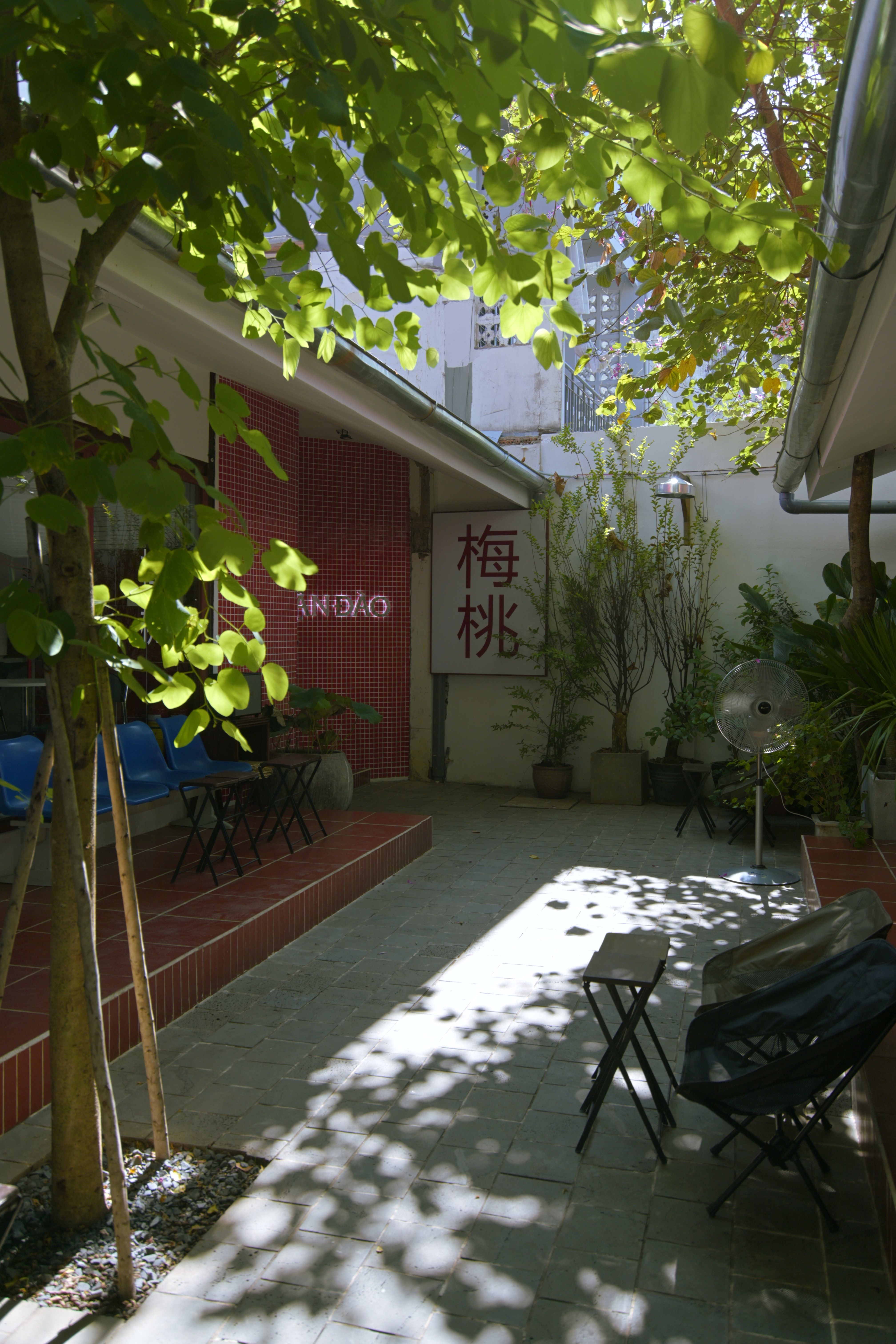 Serene courtyard with sunlight filtering through leaves, casting shadows.