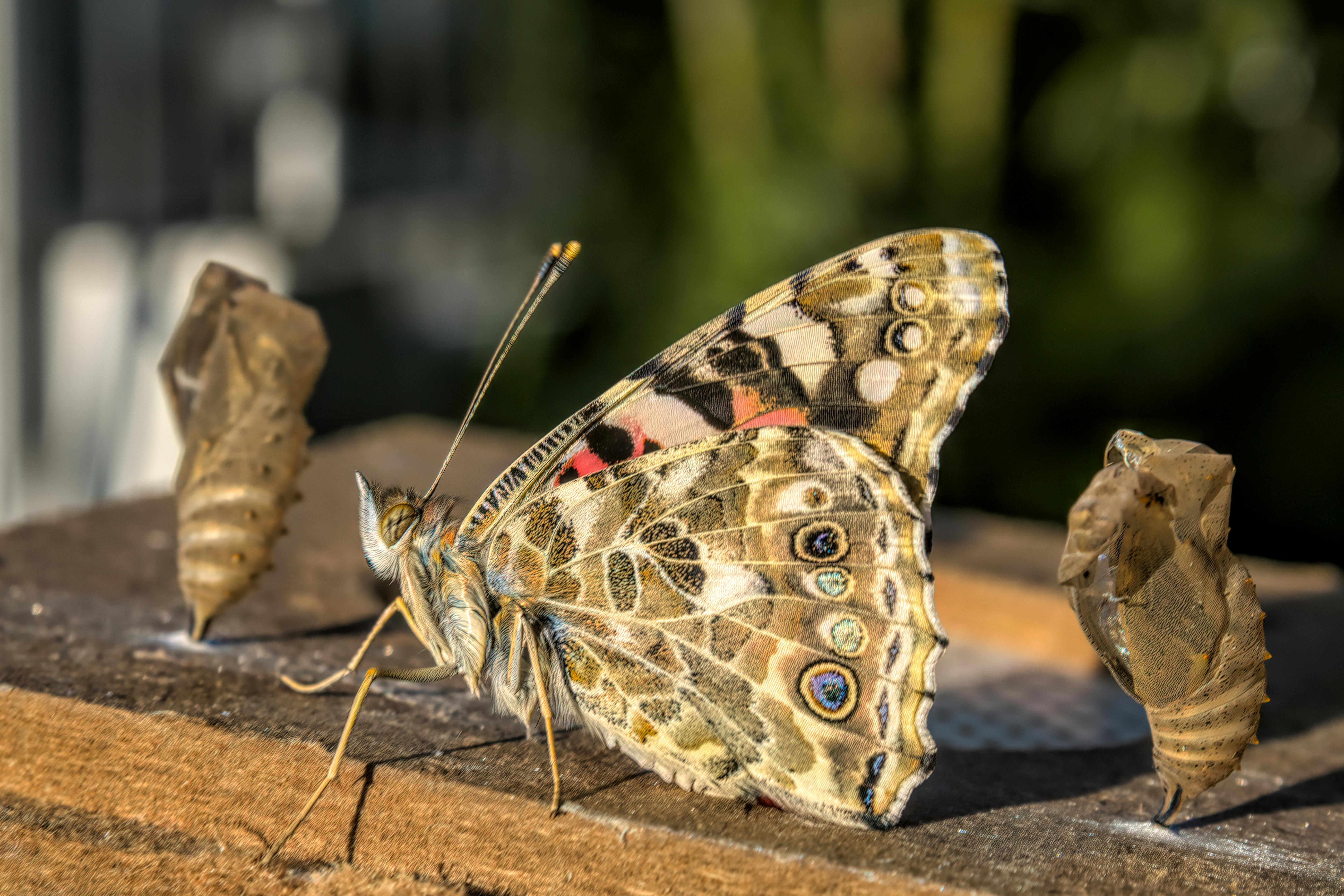 Beyond the Surface: Deeper Transformation