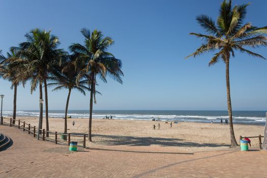 A sunny day at Margate Beach, KwaZulu-Natal, showcasing palm trees and beachgoers enjoying the sand.