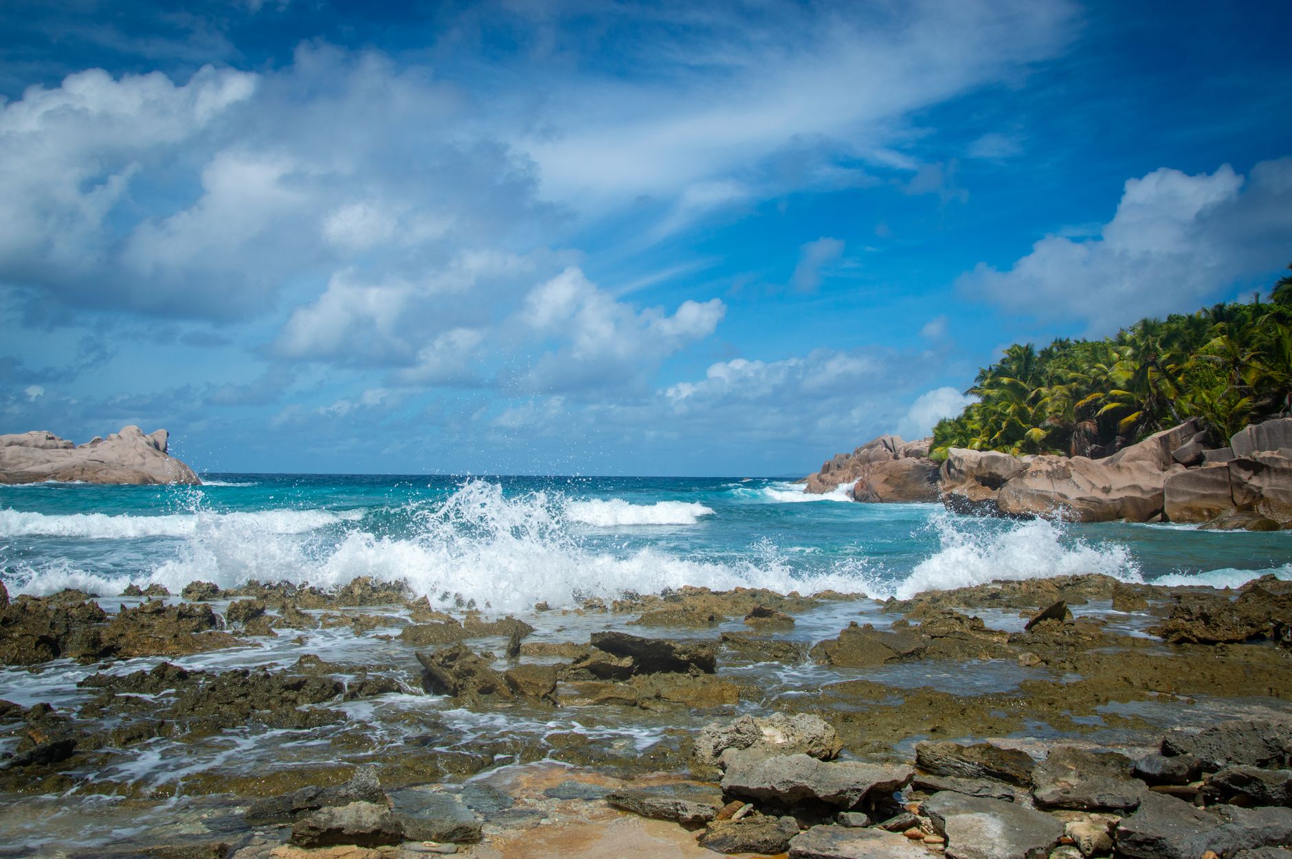 Waves crashing on a rocky beach with palm trees under a bright blue sky.