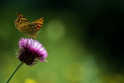 Photo by Yavuz Solgun