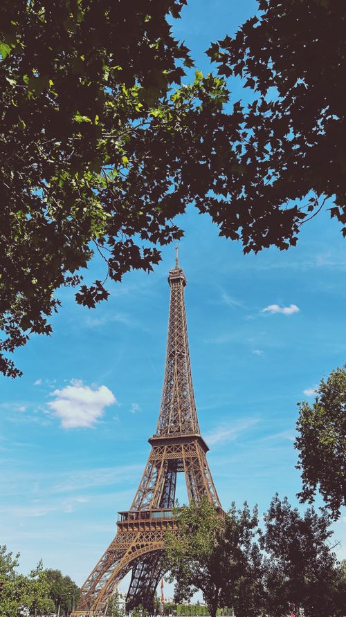 Free The iconic Eiffel Tower seen through vibrant tree leaves in a clear blue sky. Stock Photo