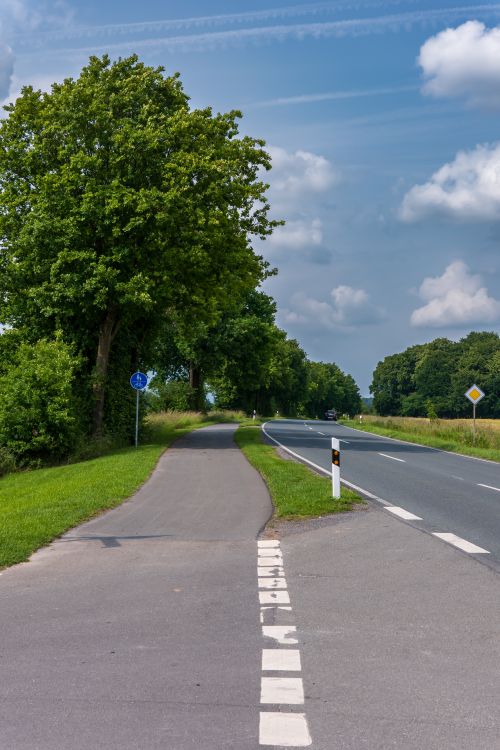 Free A picturesque rural road with a dedicated biking path lined by trees under a clear blue sky. Stock Photo