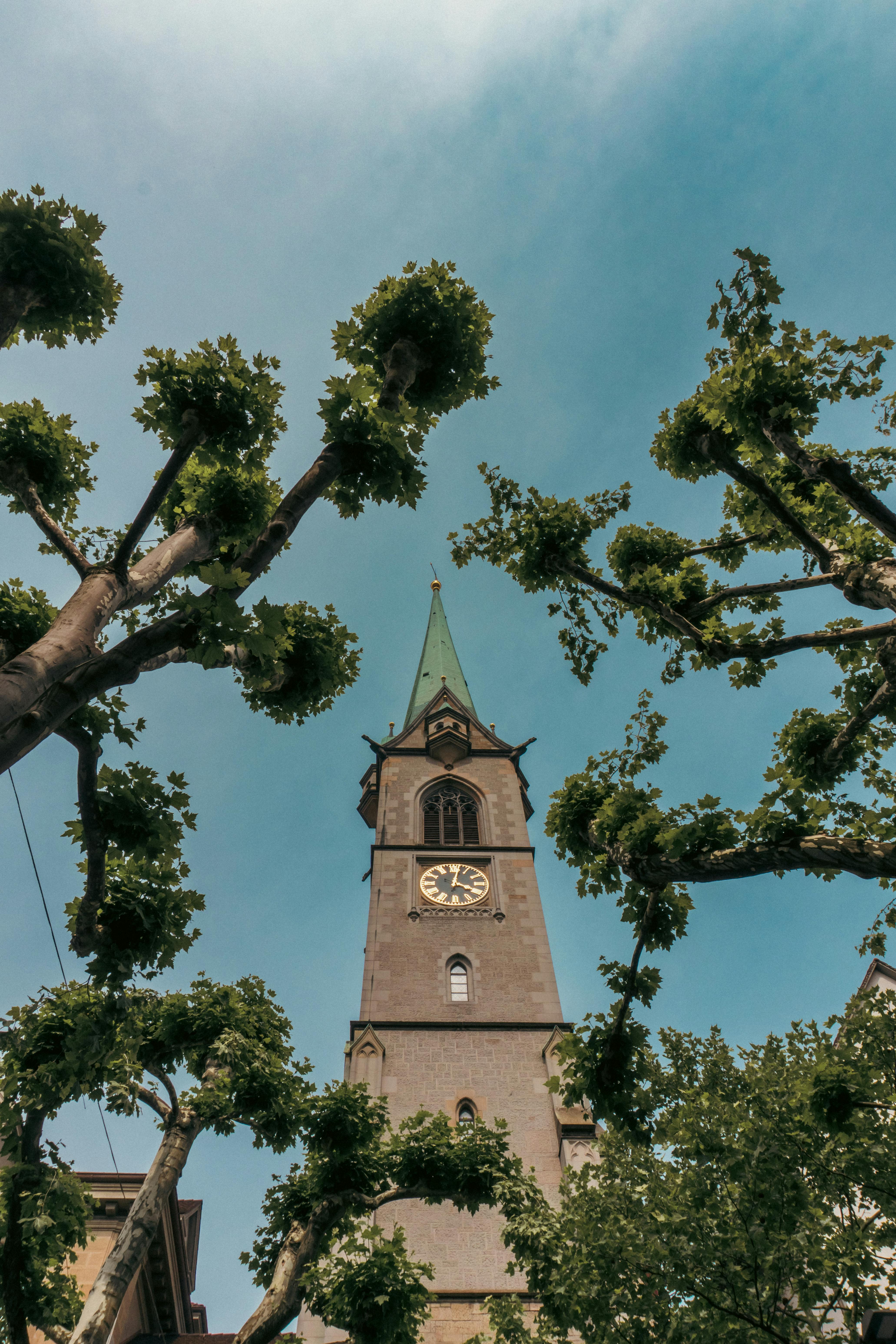 View of St. Peter's Church tower framed by trees against a clear sky in Zürich, Switzerland.