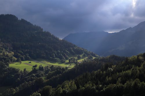 Aerial Photograph of Mountains and Trees