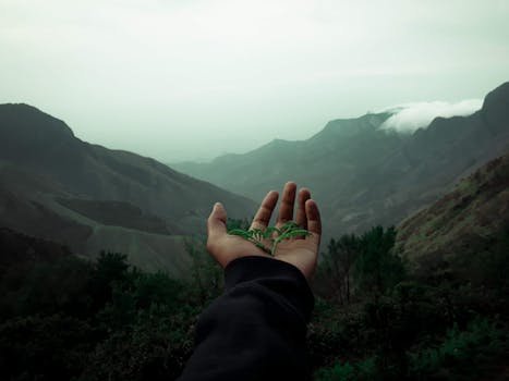一只手握着一片小绿叶，在朦胧的山间背景映衬下，象征着大自然的宁静