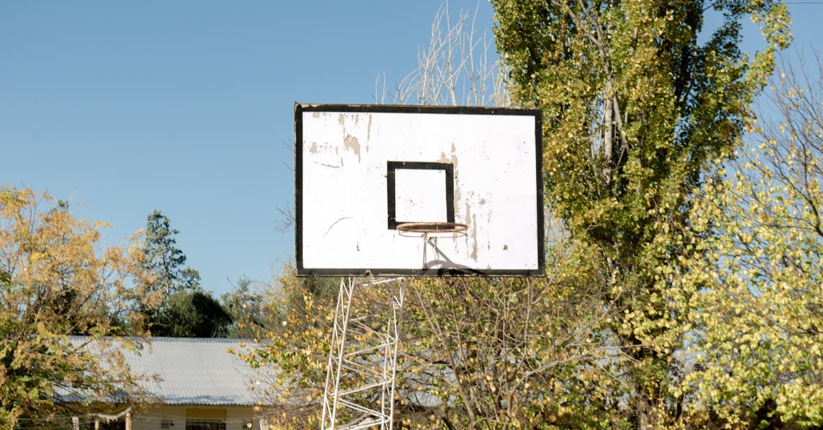 广岛篮球观赛攻略与周边美食推荐 广岛篮球观赛攻略与周边美食推荐