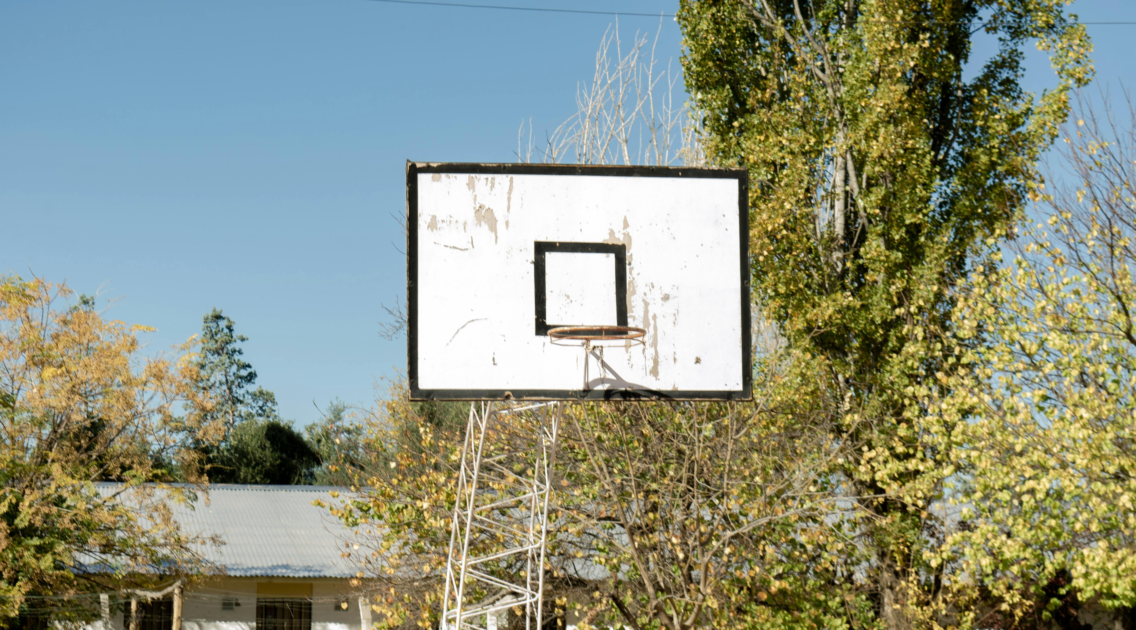 Gratis Rustik basketballkurv udendørs i Rivadavia, Mendoza, omgivet af træer. Lagerfoto