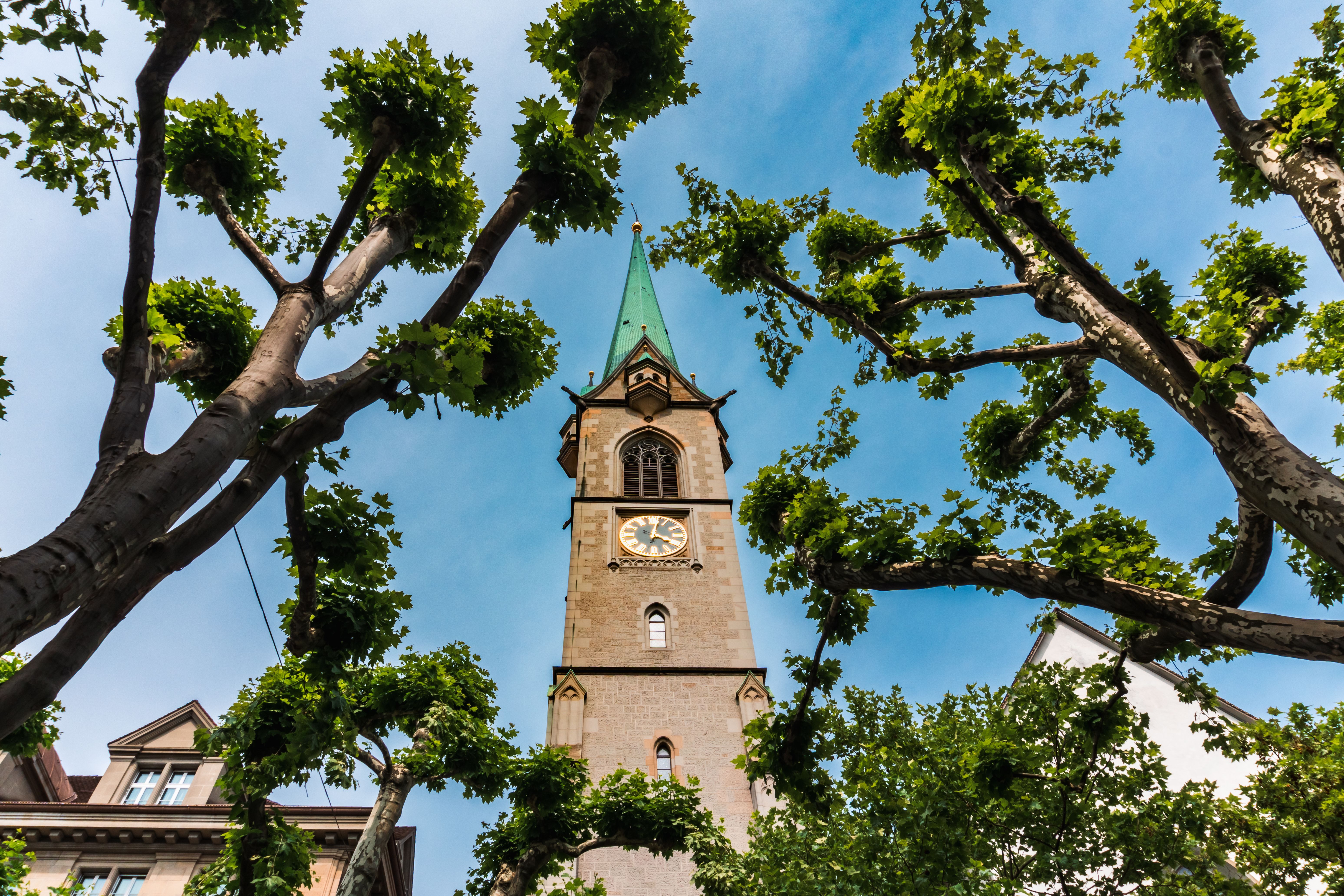 Sankt Peter in der Au Markt