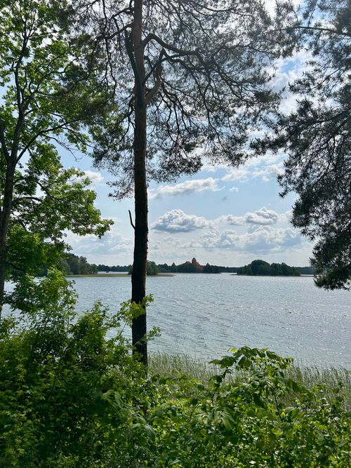 Free Tranquil view of a lake and distant building through trees under a bright sky. Stock Photo