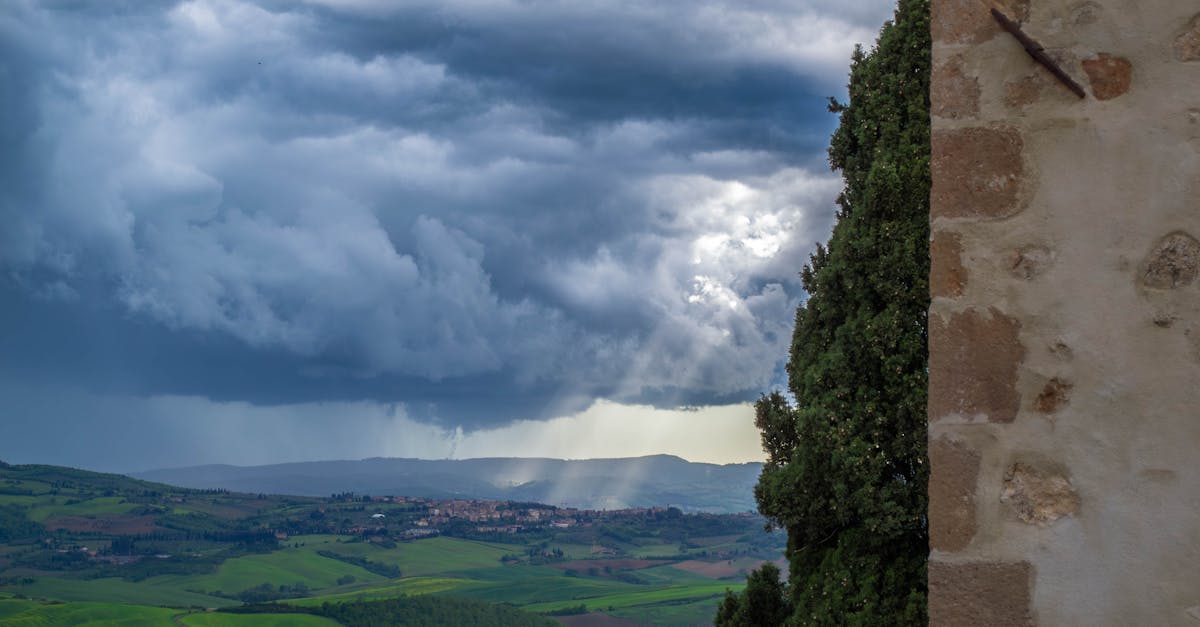 大台北多雲到晴 高溫炎熱午後留意雷陣雨