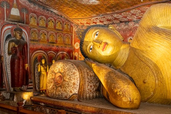 Sri Lanka Tour Package | Sigiriya, Kandy, Nuwara Eliya & Bentota - Activity & Sightseeing
