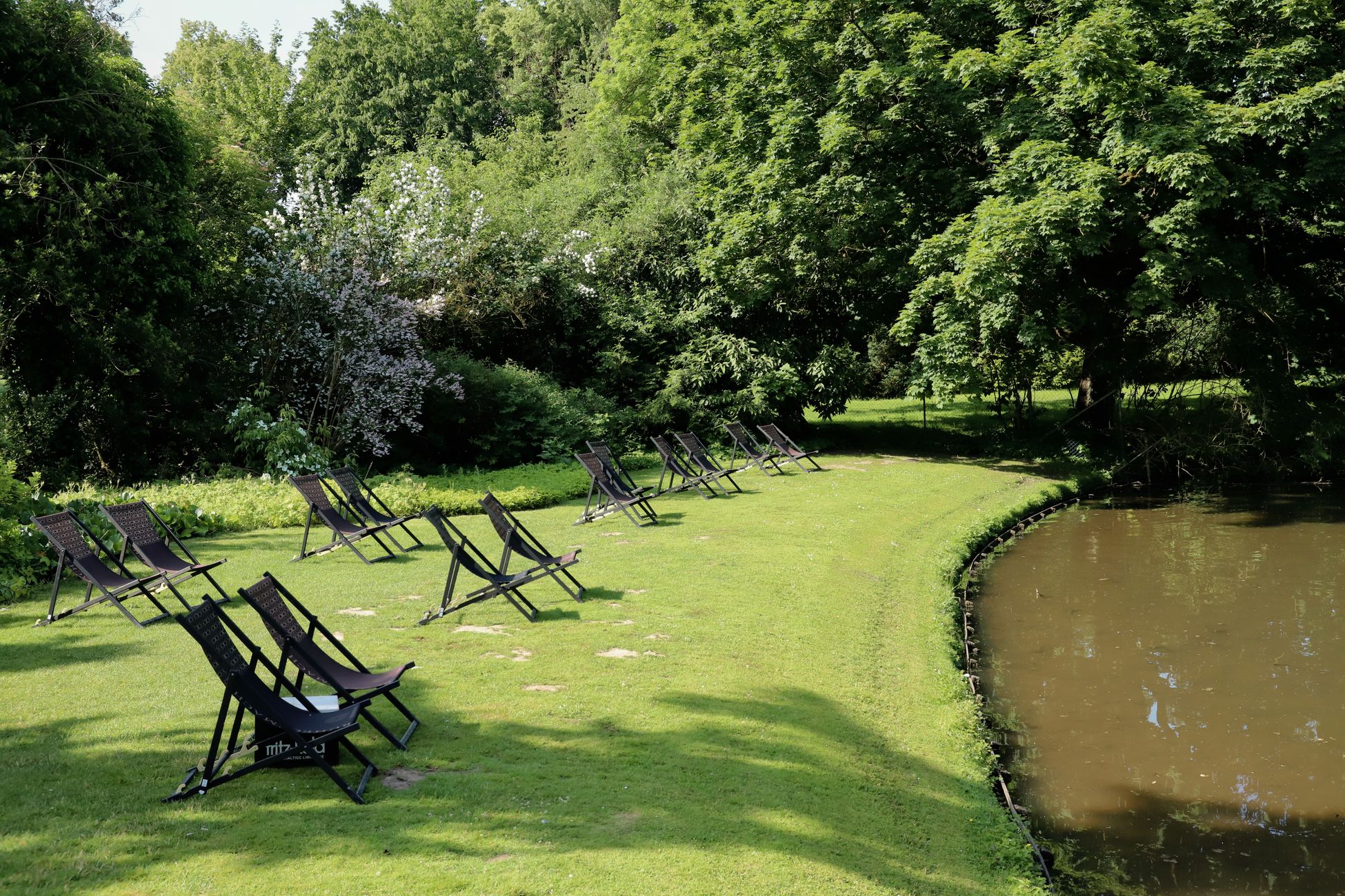 Gemeente wil Stadspark verbeteren met zwemvijver en voorzieningen