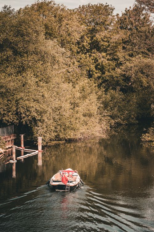 Free A serene wooden boat on River Thames surrounded by lush greenery, capturing the essence of slow travel in London. Stock Photo