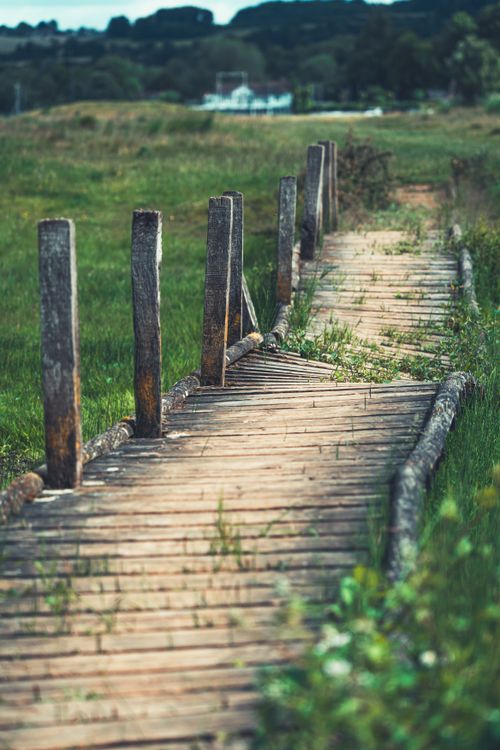 Free A peaceful wooden walkway leads through a green meadow, offering a rustic nature escape. Stock Photo