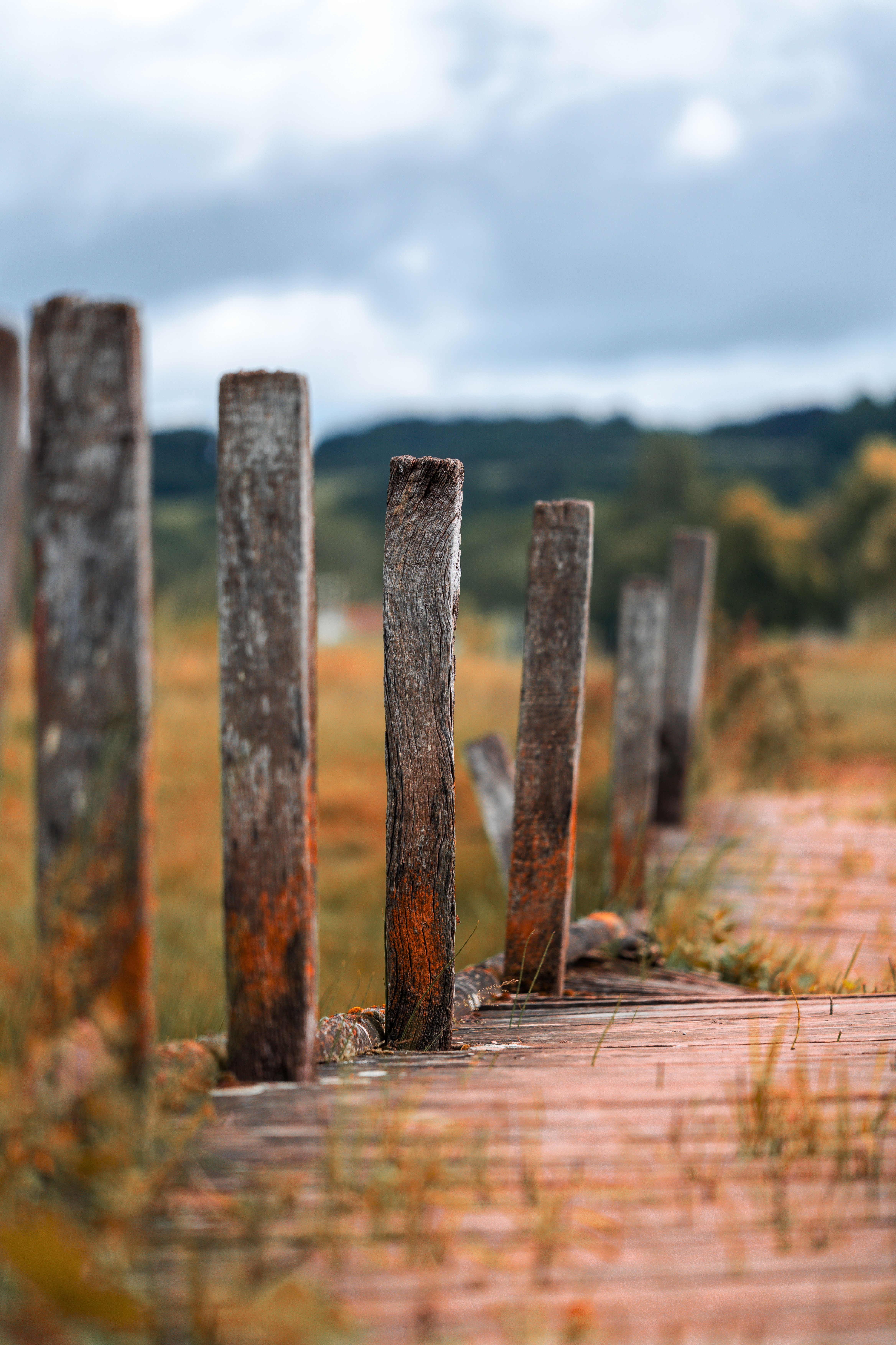 Rustic Wooden Fence in English Countryside · Free Stock Photo