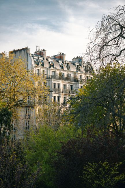 Elegant Parisian building amidst spring trees and bright sky.